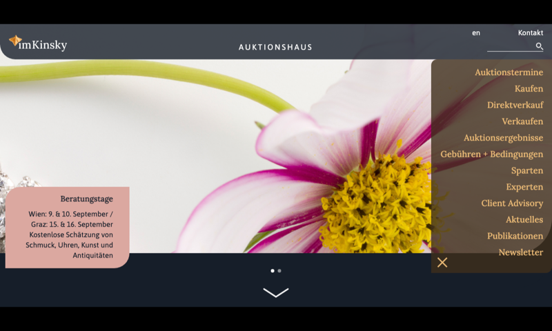 im Kinsky — homepage
